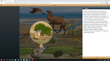 ОСӠ. Конструктор природных сообществ. Сетевая версия – портал поставщиков НСППО - 4